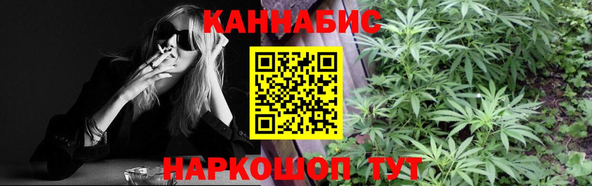 Каннабис планчик  Бошки марихуана индика  Шишки марихуана план  Вход с VPN  Канабис тримм  Сафоново 